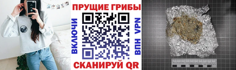 закладки  Чкаловск  мега маркетплейс  Псилоцибиновые грибы ЛСД 